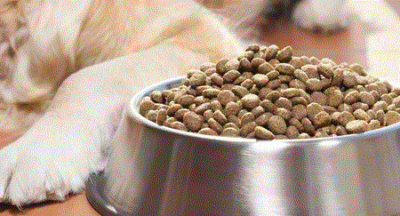 ضبط غذای حیوانات خانگی قاچاق