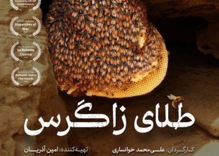 درخشش مستند ایرانی طلای زاگرس؛ در جشنواره‌های بین‌المللی