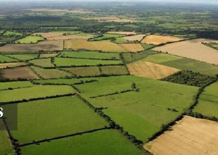 تثبیت بیش از پنج هزار هکتار زمین غیر ملی در لرستان