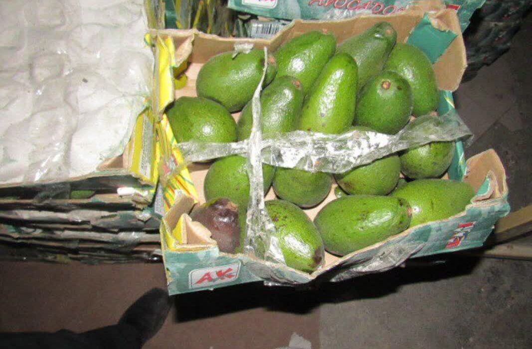 کشف میوه استوایی قاچاق در بافق