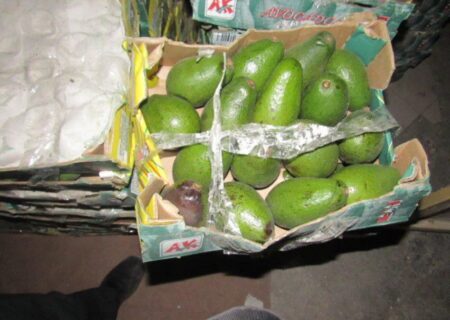 کشف میوه استوایی قاچاق در بافق