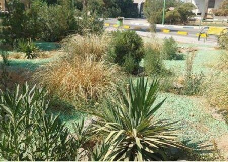 اجرای طرح‌های سبز در بیمارستان گلدیس شاهین شهر