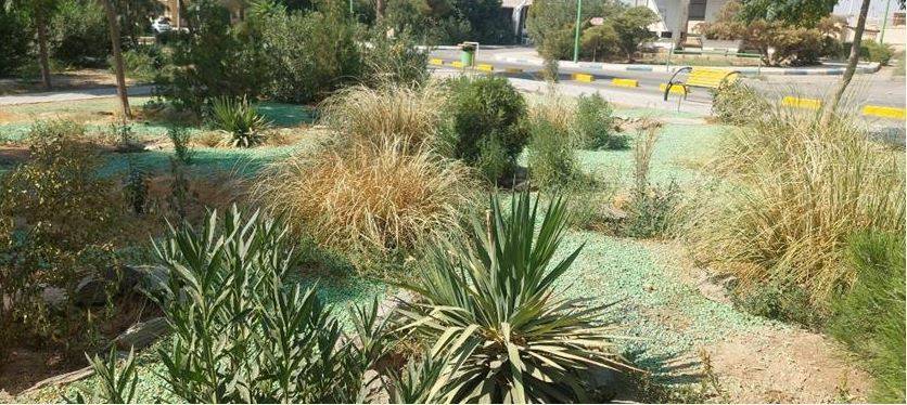 اجرای طرح‌های سبز در بیمارستان گلدیس شاهین شهر