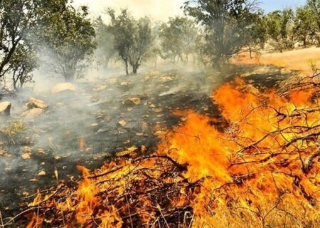 مهار آتش در ارتفاعات روستای مال محمود ممسنی