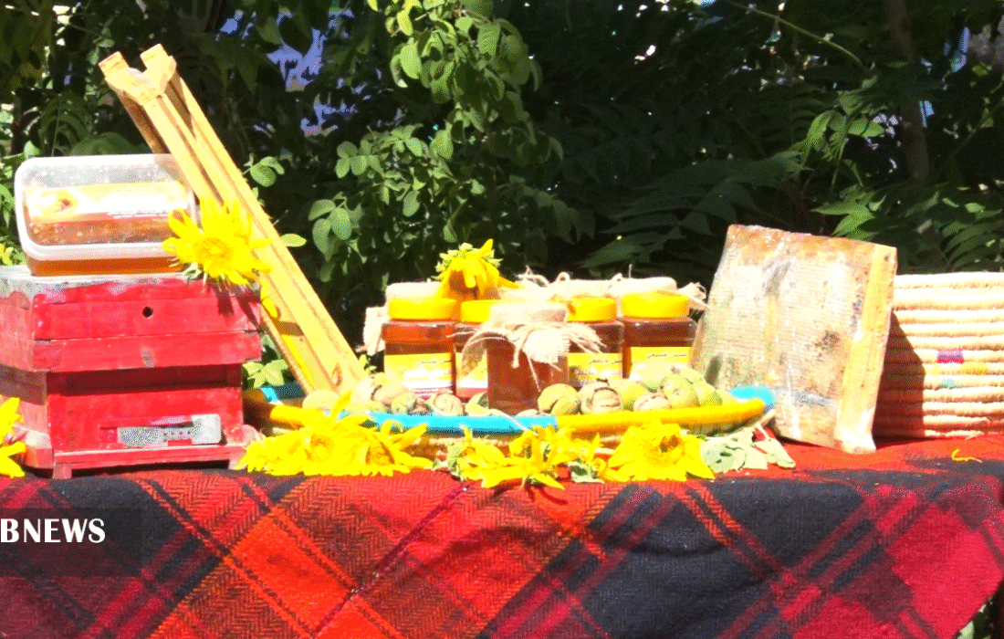 تولید بیش از هزار تن عسل در ایلام