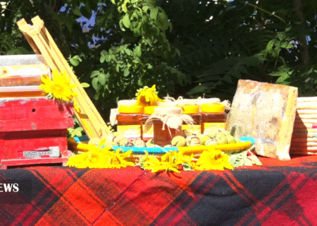 تولید بیش از هزار تن عسل در ایلام