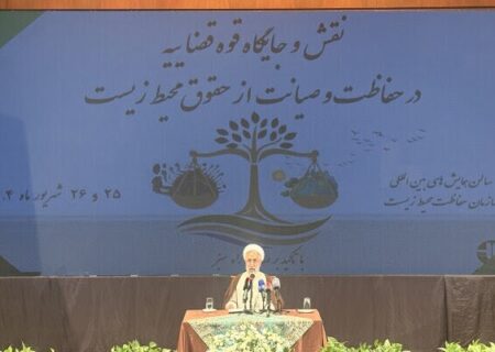 ارائه لایحه صیانت از حقوق عامه با محوریت محیط زیست به دولت