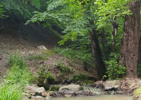 ثبت  ملی۳ اثر طبیعی  استان گلستان