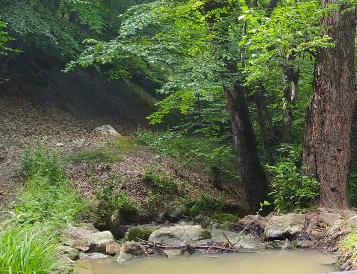 ثبت  ملی۳ اثر طبیعی  استان گلستان