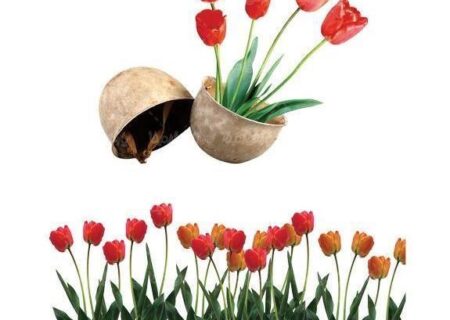 فراخوان عکاسی راهیان نور در خراسان جنوبی