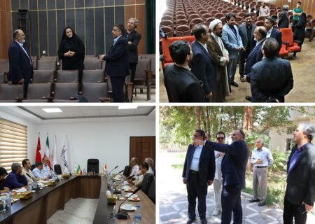 پردیس سینمایی نیاز استان کرمان