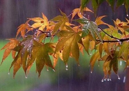 ادامه بارندگی در سواحل دریای خزر و هشدار نارنجی برای این مناطق