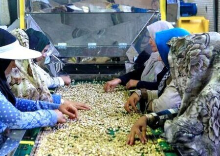 فرصت سازی تعاونی‌های خراسان شمالی برای توسعه