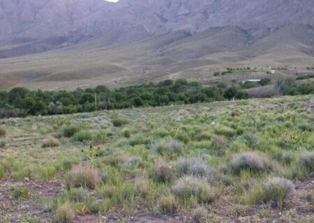 آزاد سازی ۴۵۰ هزار هکتار از عرصه‌های منابع طبیعی خراسان جنوبی