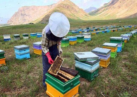آذربایجان‌غربی رتبه نخست تولید عسل در کشور