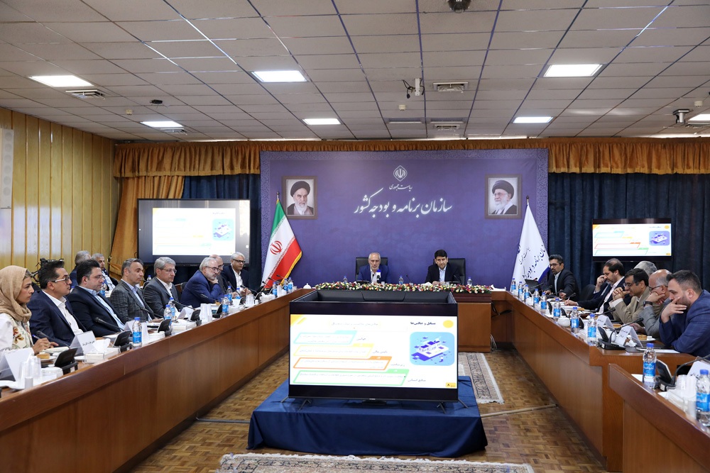 مشارکت بخش خصوصی، مسیر تحول دیجیتال را هموار می کند