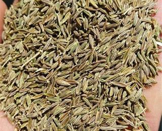 تامین بذور گیاهان دارویی برای توزیع بین بهره برداران استان