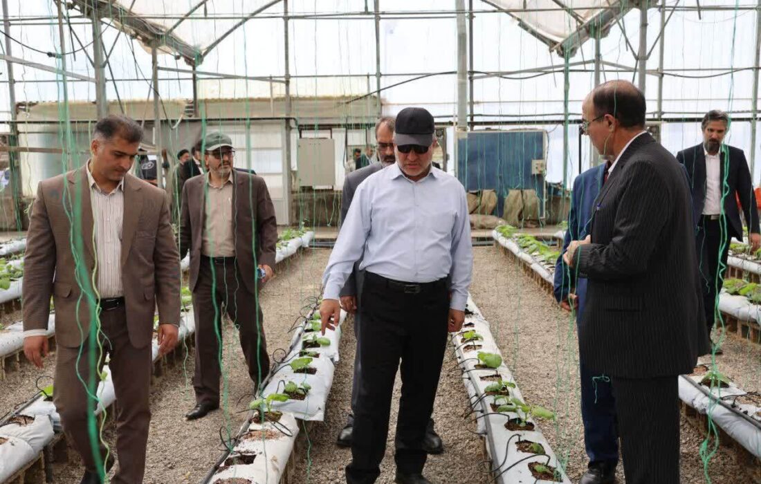 افزایش ظرفیت واحدهای تولیدی خراسان جنوبی با حمایت تسهیلاتی