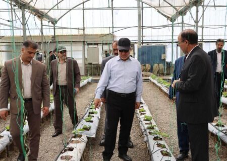 افزایش ظرفیت واحدهای تولیدی خراسان جنوبی با حمایت تسهیلاتی