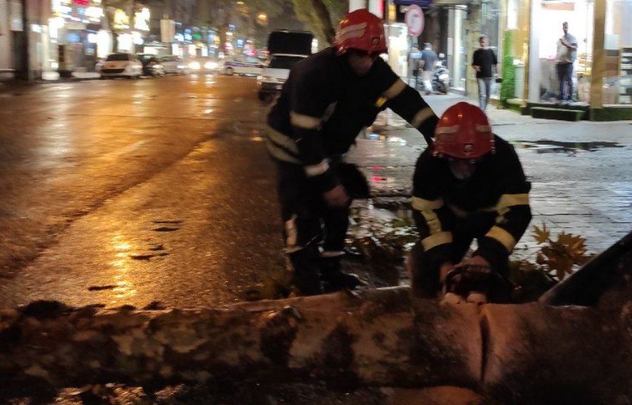 سقوط درخت در خیابان تختی رشت