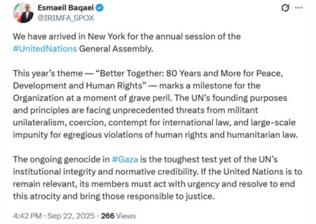 توقف نسل‌کشی درغزه، مهمترین آزمون اعتبار برای سازمان ملل