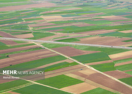 حفاظت از اراضی ملی در دستور کار دستگاه‌های اجرایی دهلران باشد