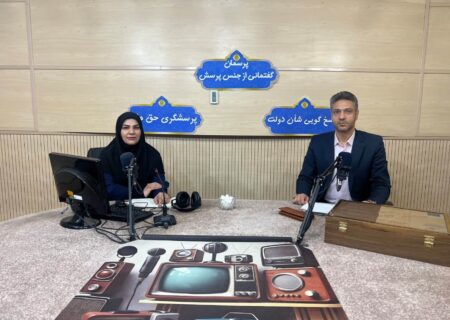 افزایش ۴۳ درصدی سرمایه‌گذاری خارجی در خراسان جنوبی