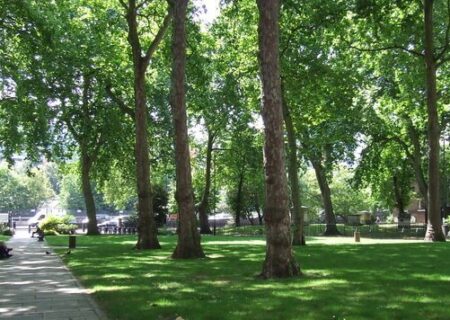 توسعه فضا‌های سبز و رفاهی شهرکرد