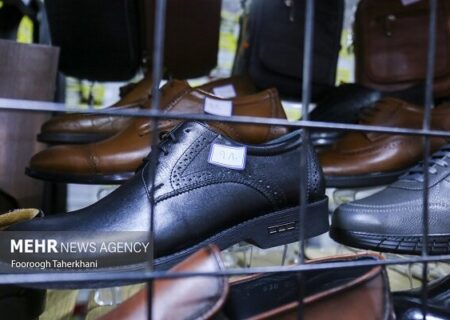 رشد ۲۰ درصدی تولید کفش