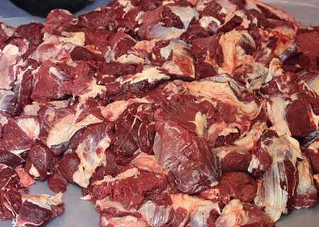 کشف و ضبط محموله گوشت فاسد در ایلام