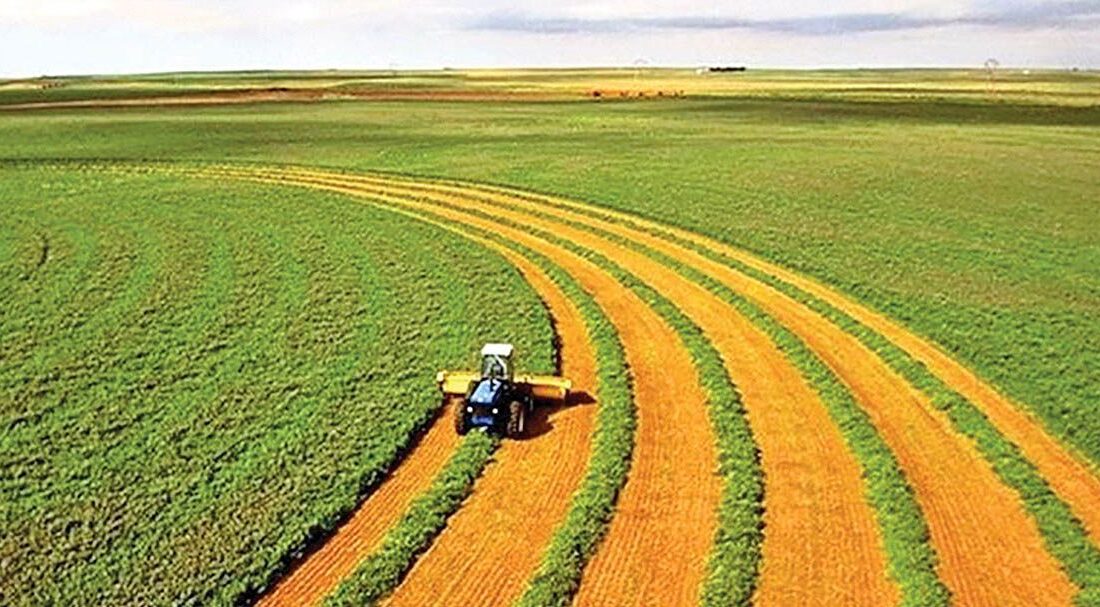 اجرای طرحهای توسعه کشاورزی در ۵۳ هزار هکتار از اراضی کشور
