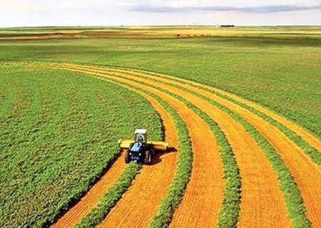 اجرای طرح‌های توسعه کشاورزی در ۵۳ هزار هکتار از اراضی کشور