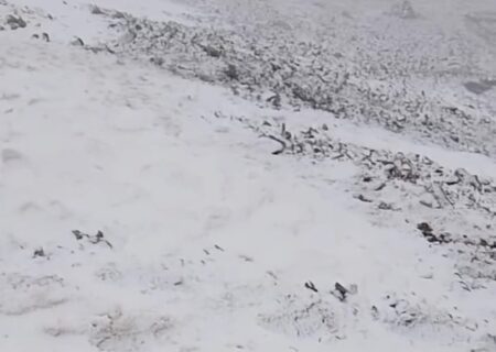 بارش اولین برف پاییزی در کلیبر