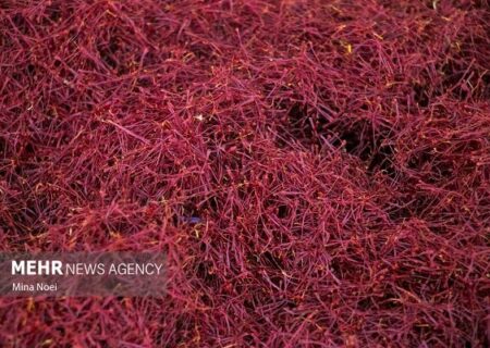 ۳۰ درصد زعفران ایران به ایتالیا صادر می شود