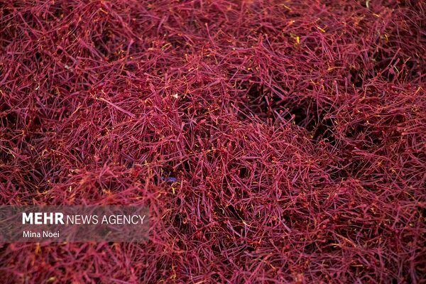 ۳۰ درصد زعفران ایران به ایتالیا صادر می شود