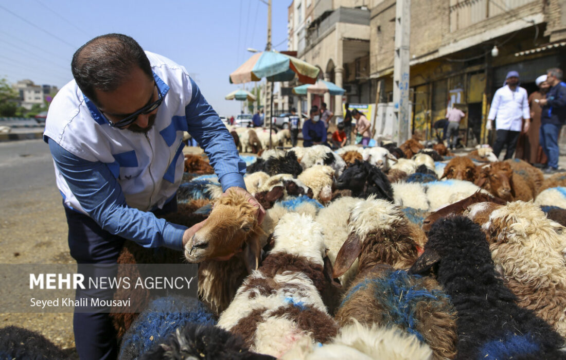 اجرای پایش بیماری سل و بروسلوز در مناطق روستایی و صنعتی شهرستان دنا