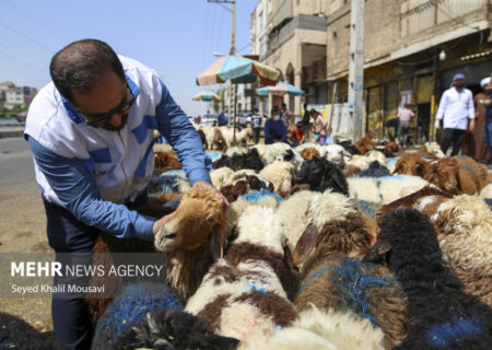 اجرای پایش بیماری سل و بروسلوز در مناطق روستایی و صنعتی شهرستان دنا