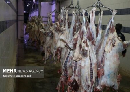 کاهش واسطه‌ها برای توزیع گوشت ارزان‌تر