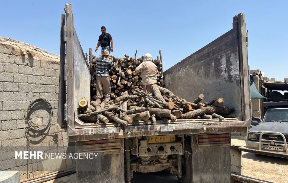 توقیف 3 تن چوب قاچاق در سقز توسط ماموران