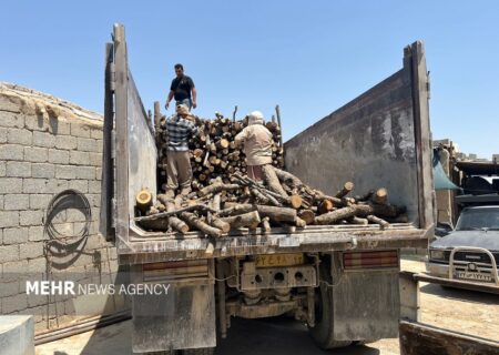 توقیف 3 تن چوب قاچاق در سقز توسط ماموران