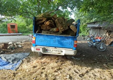 کشف ۵ تن چوب جنگلی قاچاق در عملیات مشترک پلیس و سپاه رباط کریم