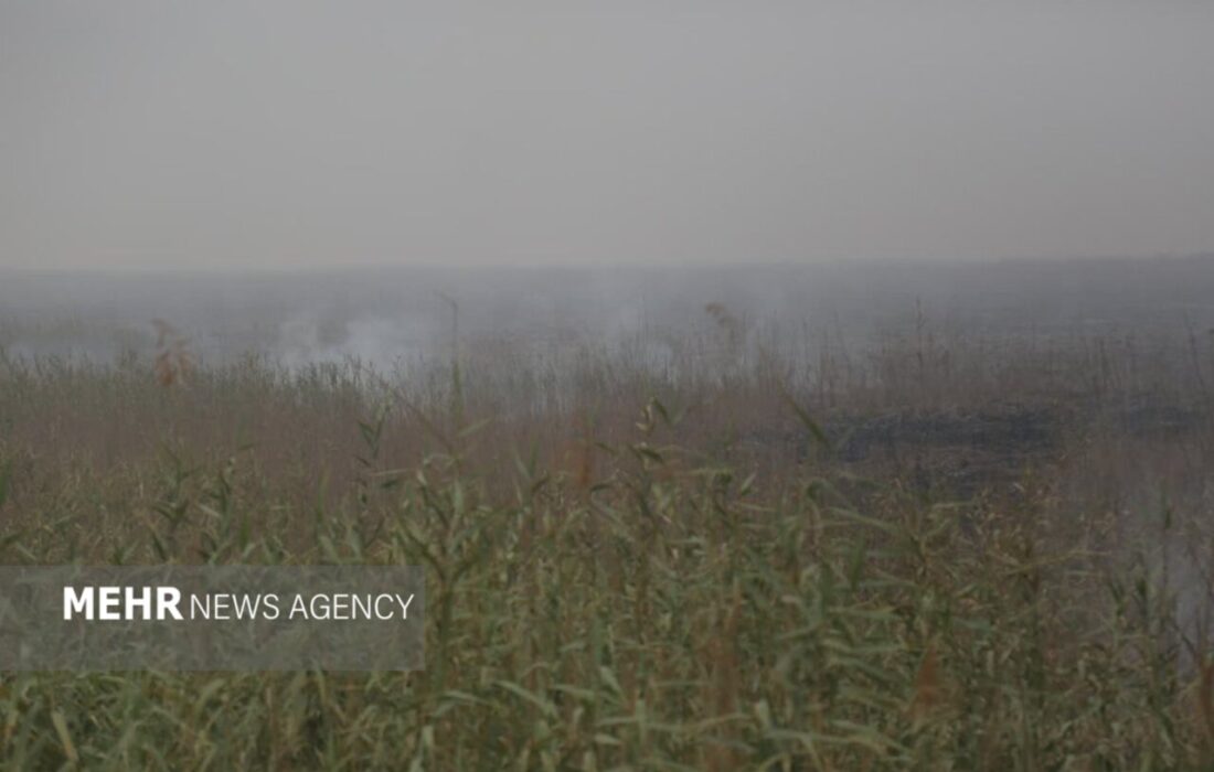 «هورالعظیم در آتش، خوزستان در دود»؛ روایت یک چالش جدید با ریشه‌ای کهنه