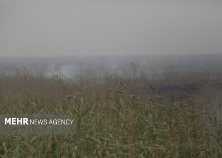 «هورالعظیم در آتش، خوزستان در دود»؛ روایت یک چالش جدید با ریشه‌ای کهنه