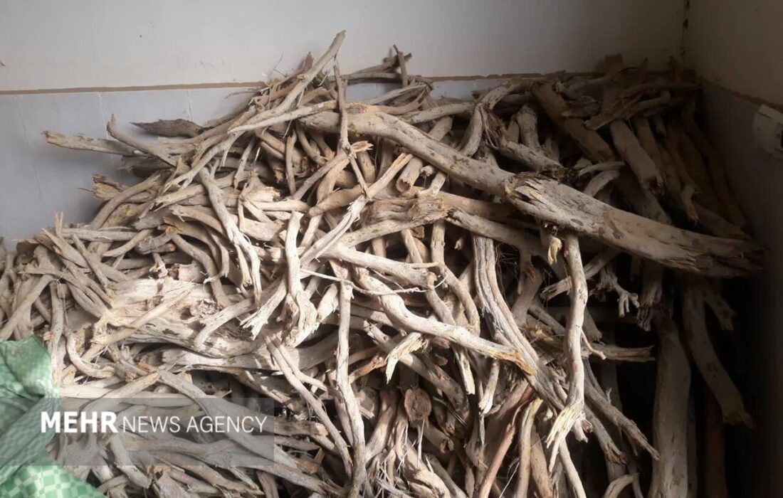 توقیف کامیون حامل ۴.۵ تن چوب تاغ قاچاق در بجنورد