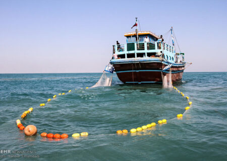 افزایش ۵۸ درصدی صید میگو در آب‌های بوشهر