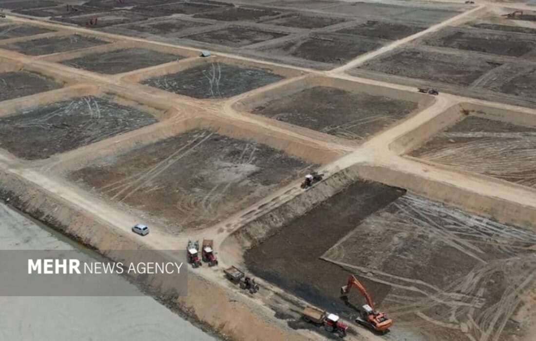 گامهای جدید برای توسعه صادرات و اشتغال در مراکز فرآوری میگو گمیشان