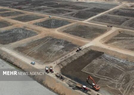 گام‌های جدید برای توسعه صادرات و اشتغال در مراکز فرآوری میگو گمیشان