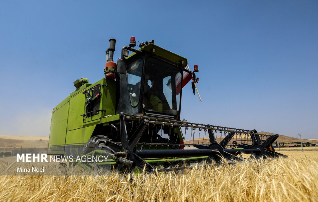 هفدهمین نمایشگاه بینالمللی صنعت غلات، آرد و نان افتتاح شد
