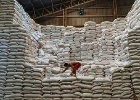 امتناع کشاورزان از فروش برنج به دلیل سود بالای دلالان