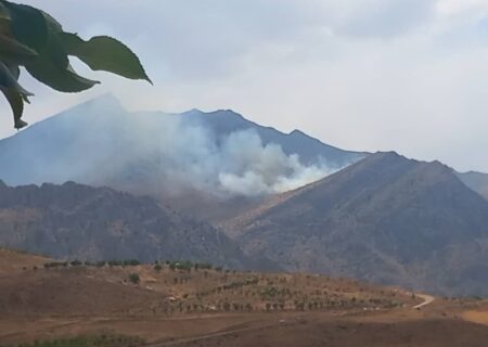 تشکیل پرونده قضایی برای ۵ نفر از عوامل انسانی آتش سوزی جنگل های ایلام